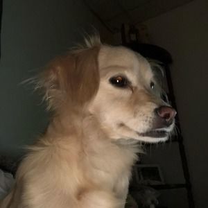 Meet your Posher, Fabiana